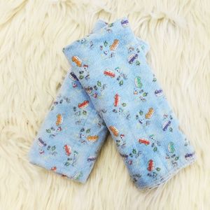 2 Pack Flannel Burp Cloths